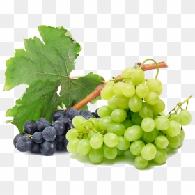 Grapes Free Png Image - Black And Green Grapes, Transparent Png - grapes leaf png