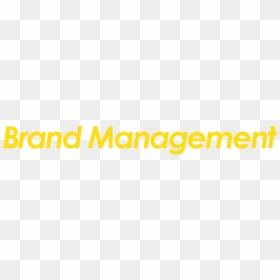 Brand-management - Disco Freio Dianteiro Ventilado, HD Png Download - brand management png