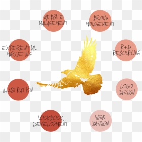 Offerings, HD Png Download - brand management png
