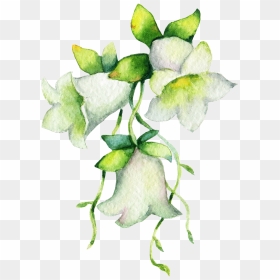 Lily Of The Valley , Png Download, Transparent Png - valley png