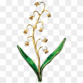 Lily Of The Valley Jewelry - Muguet Fond Transparent, HD Png Download - valley png