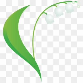 Lily Of The Valley Clipart - スズラン イラスト, HD Png Download - valley png