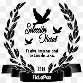 7° Ficlapaz La Paz International Film Festival, Bolivia - Sparrow, HD Png Download - bolivia png