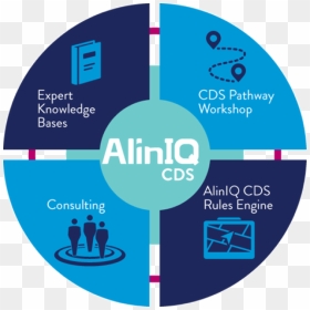 Aliniq Clinical Decision Making Wheel Image - Abbott Aliniq, HD Png Download - abbott logo png