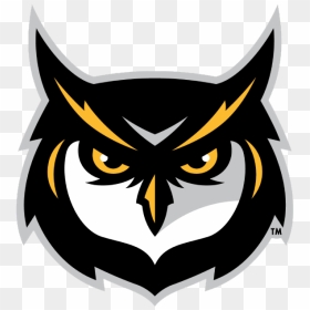 Kennesaw State Owls - Kennesaw State University Mascot, HD Png Download - kennesaw state logo png