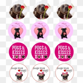 Pug, HD Png Download - sheriff callie png