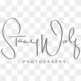 Stacy Wolf Photography - Calligraphy, HD Png Download - wolf print png