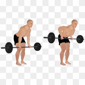 Bodybuilding, HD Png Download - weight bar png