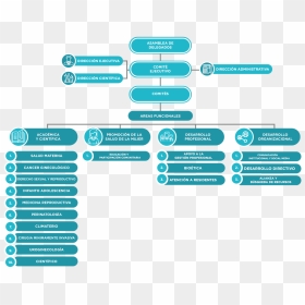 Mapa Estrategico Arturo Calle, HD Png Download - atencion atencion png