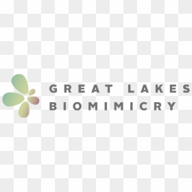 Great Lakes Biomimicry Cwa Partner Logo - Beige, HD Png Download - clover border png