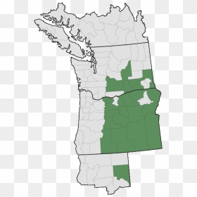 Pacific Northwest, HD Png Download - clover border png
