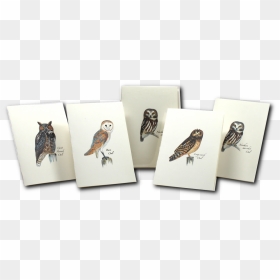 Illustration, HD Png Download - notecard png