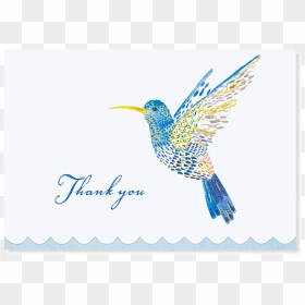 Coraciiformes, HD Png Download - notecard png