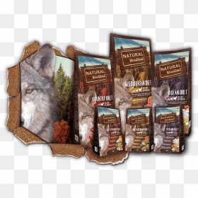 Flyer, HD Png Download - woodland png