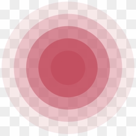 Colorful Circle - - Polarr 24fps, HD Png Download - grid png tumblr