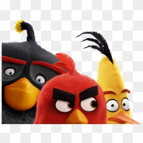Download Angry Birds The Movie Trailer Clipart Trailer - The Angry Birds Movie, HD Png Download - angry birds movie png