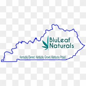 Graphic Design, HD Png Download - kentucky outline png