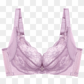 Brassiere, HD Png Download - sexy lingerie png