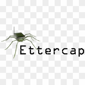 Ettercap Kali Linux, HD Png Download - kali linux logo png