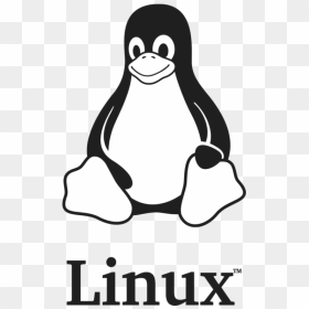 Logo Linux Png - Linux Logo Evolution, Transparent Png - kali linux logo png