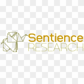 Sentience Research - Orange, HD Png Download - please be patient i have autism hat png