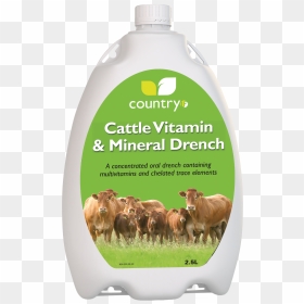 Country Cattle Mineral Drench, HD Png Download - uf hat png
