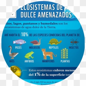 Label, HD Png Download - planeta tierra png