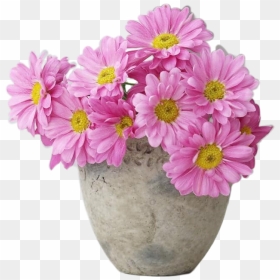 Vaso De Crisântemo Rosa - Flowerpot, HD Png Download - molduras de flores png