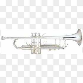 Trompeta Challenger I B &s Bs3137 2 0w - Trompeta Challenger 3137, HD Png Download - trompetas png