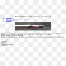 Informe-experimento Cientifico Efecto Del Humo Del - Boeing, HD Png Download - humo de cigarro png