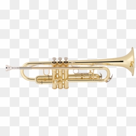 Imagen De Producto - Trumpet, HD Png Download - trompetas png