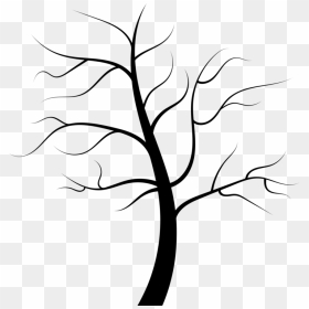 Tree Root Trunk Juglans Evergreen - Drawing Tree No Leaves, HD Png Download - roots vector png