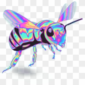 #abeja #bee #aesthetic #vaporwave #colors #colores - Colorful Aesthetic, HD Png Download - abeja png