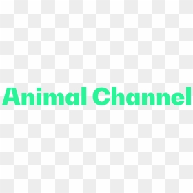 Circle, HD Png Download - mailman png