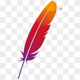Apache Logo Asf Apache Software Foundation Http Server - Feather Clipart, HD Png Download - server.png