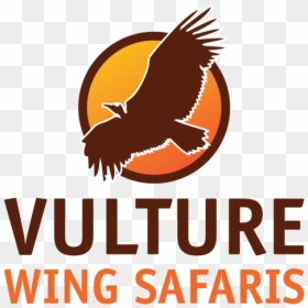 Web Vulture Logo-01 - Carif Oref, HD Png Download - safari logo png