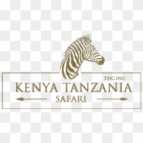 Tanzania Kenya Safari Logo - Cs Kids Learning Pvt Ltd, HD Png Download - safari logo png