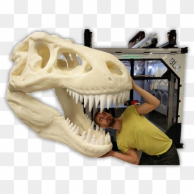 Massive 3d Printer Object , Png Download - Skull, Transparent Png - 3d objects png