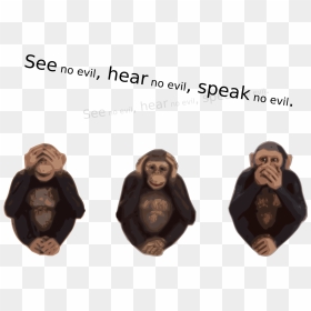 See No Evil Hear No Evil Speak No Evil Svg Clip Arts - Free See No Evil Hear No Evil Speak No Evil, HD Png Download - speak png