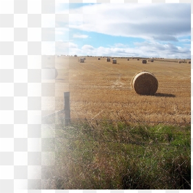 Agriculture , Png Download - Field, Transparent Png - farming png