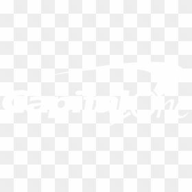 Capital One Logo - Capital One Logo White, HD Png Download - capital one png