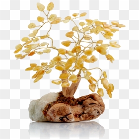 Fortune Tree In Milky Amber - Tree, HD Png Download - fortune png
