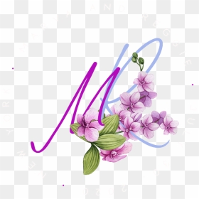 Moth Orchid, HD Png Download - reggie png