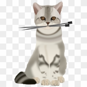 Cat With Knitting Needles - Knitting Cats, HD Png Download - needles png