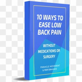 Back Pain Guide Boca Raton Physical Therapy - Colorfulness, HD Png Download - raton png