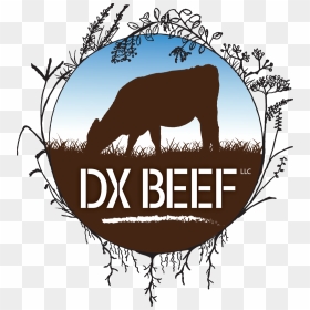 Dx Beef Logo Bluesky, HD Png Download - dx png