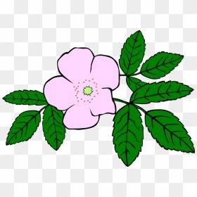 Gg Rosa Acicularis - Cartoon Plants And Flowers, HD Png Download - gg png