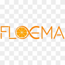 Floema, HD Png Download - fsu png
