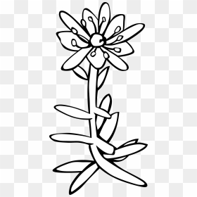 Gg Saxifraga Aizoides Clip Arts - Saxifraga Clipart, HD Png Download - gg png