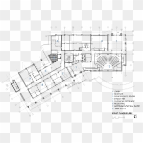 Image Project Page Fsu04 - Floor Plan, HD Png Download - fsu png